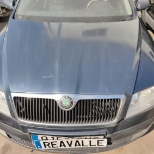 Capot Skoda Octavia II 1.9 TDI (105 cv)