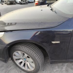 Aleta Delantera Izquierda Bmw Serie 5 (E60, Versión 2007) 520d (177 cv)