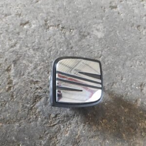 Maneta exterior porton Seat Leon II (1P) FR 2.0 TDI (170 cv) DPF