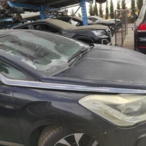 Moldura Citroen DS5 2.0 BlueHDi (120 cv)
