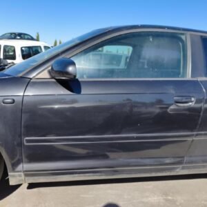 Puerta delantera izquierda Audi A3 (8P) 1.9 TDI (105 cv)