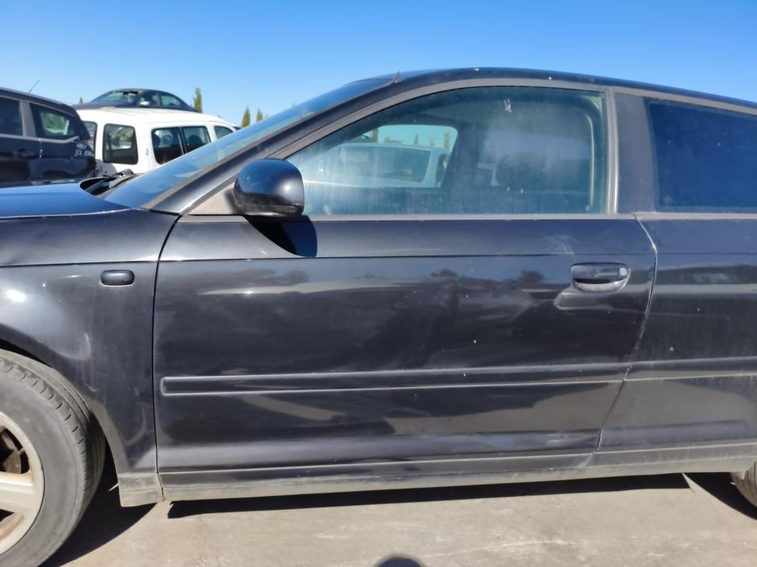 Puerta delantera izquierda Audi A3 (8P) 1.9 TDI (105 cv)