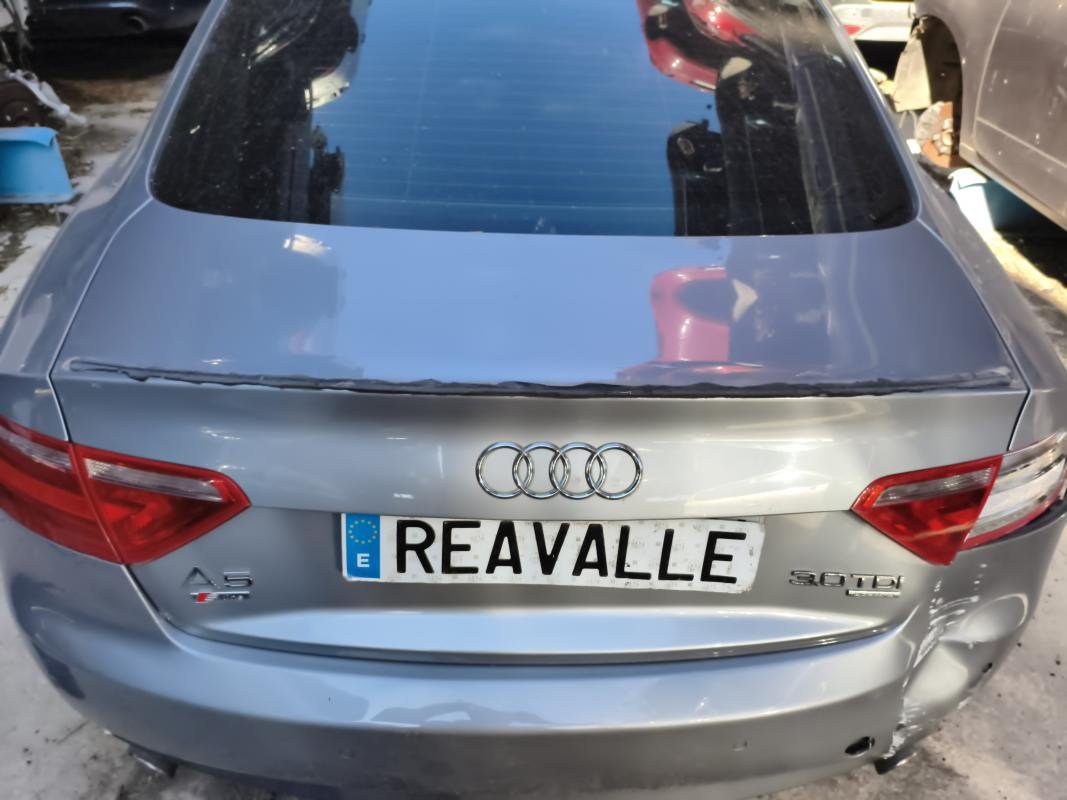 Porton trasero Audi A5 Coupe (8T3) 3.0 TDI V6 (240 cv) quattro